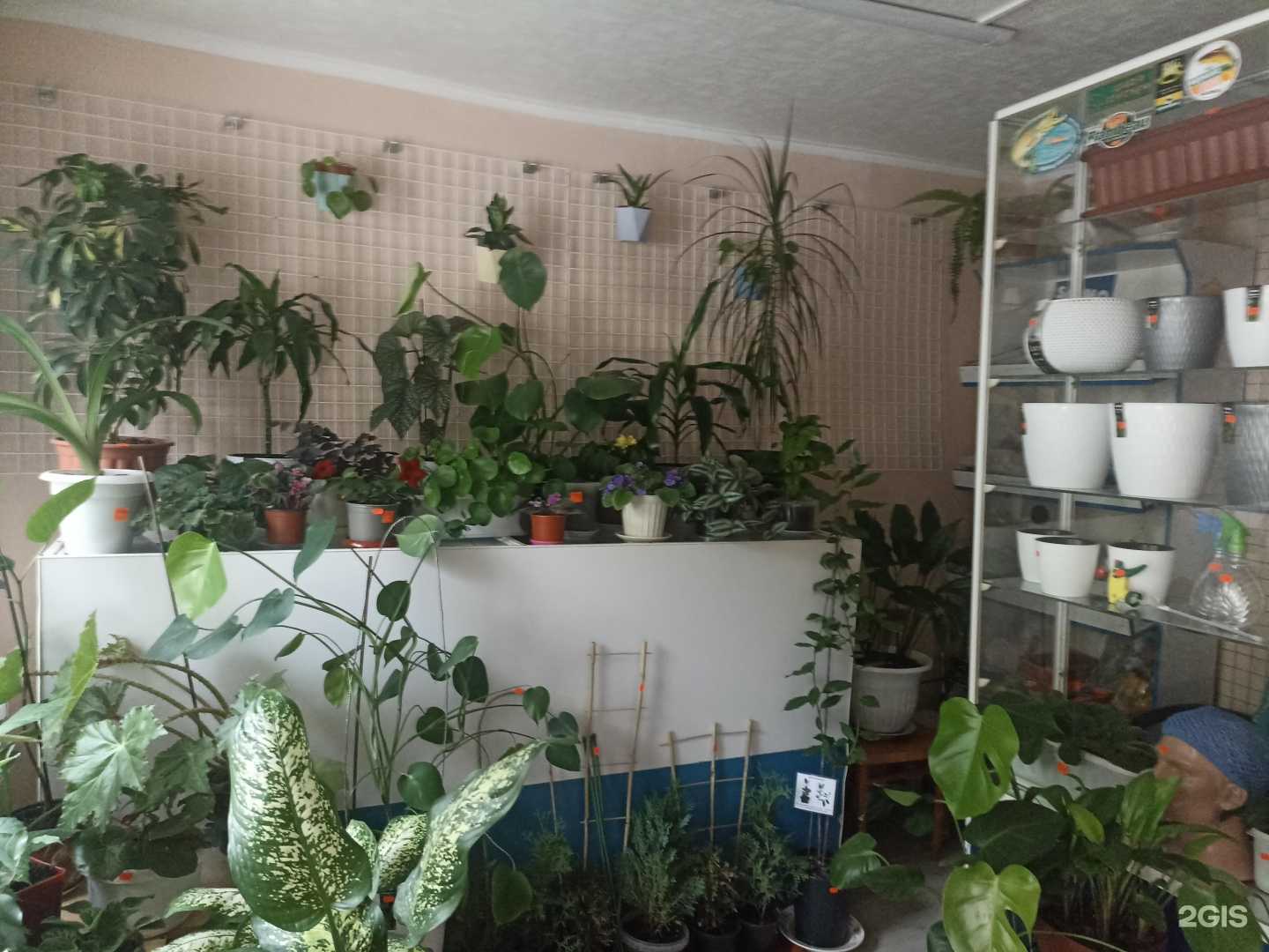 Отзывы на компанию Зоотовары в г. Пятигорск c фото