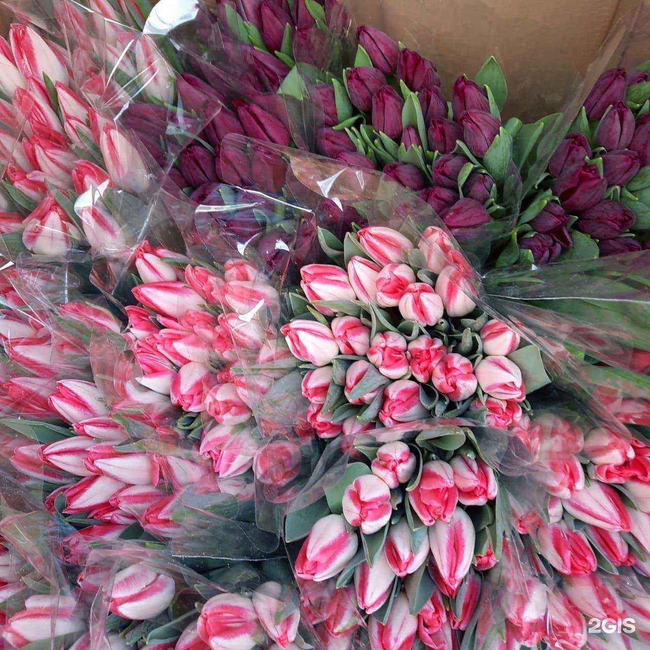 Отзывы на компанию Светлана в г. Тольятти c фото