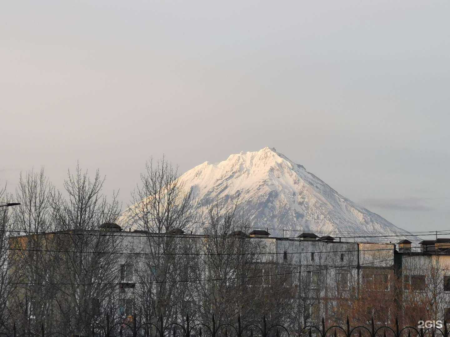 Отзывы на компанию Легион МВ в г. Петропавловск-Камчатский c фото