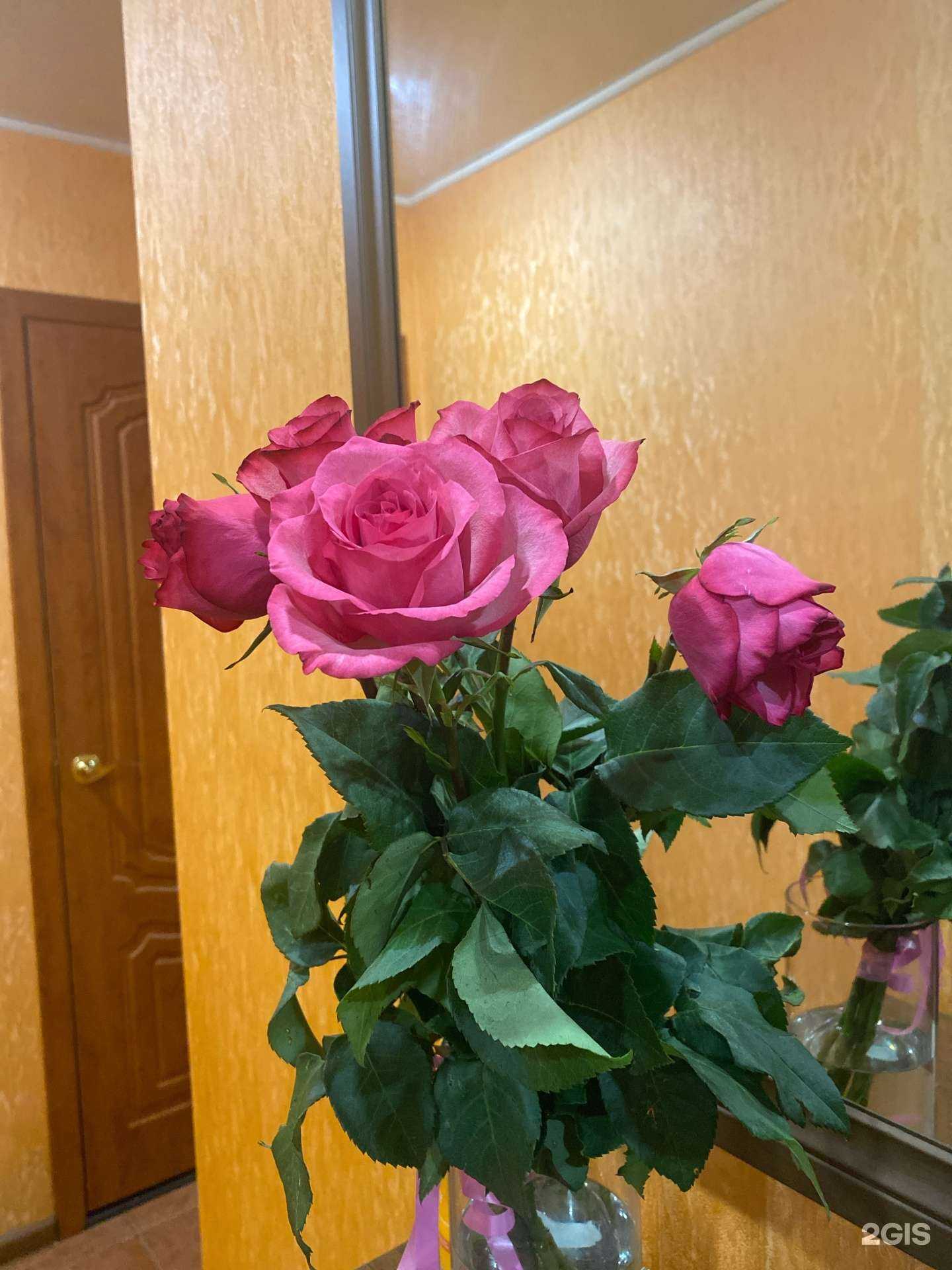 Отзывы на компанию Планета цветов в г. Набережные Челны c фото