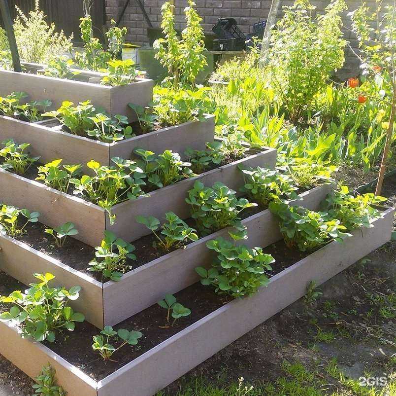 Отзывы на компанию Арника в Кургане c фото