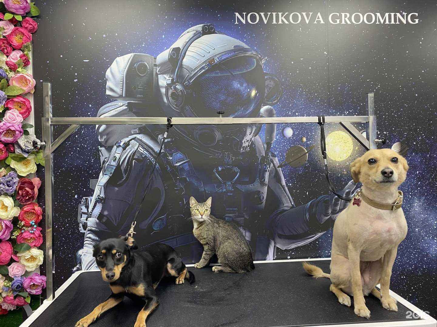 Отзывы на компанию Нортон в г. Уфа c фото