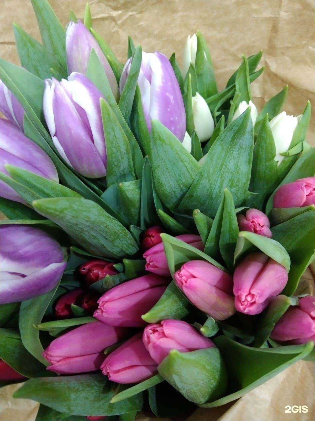 Отзывы на Магазин одежды в г. Альметьевск Отзывы на компанию Магазин одежды в г. Альметьевск c фото