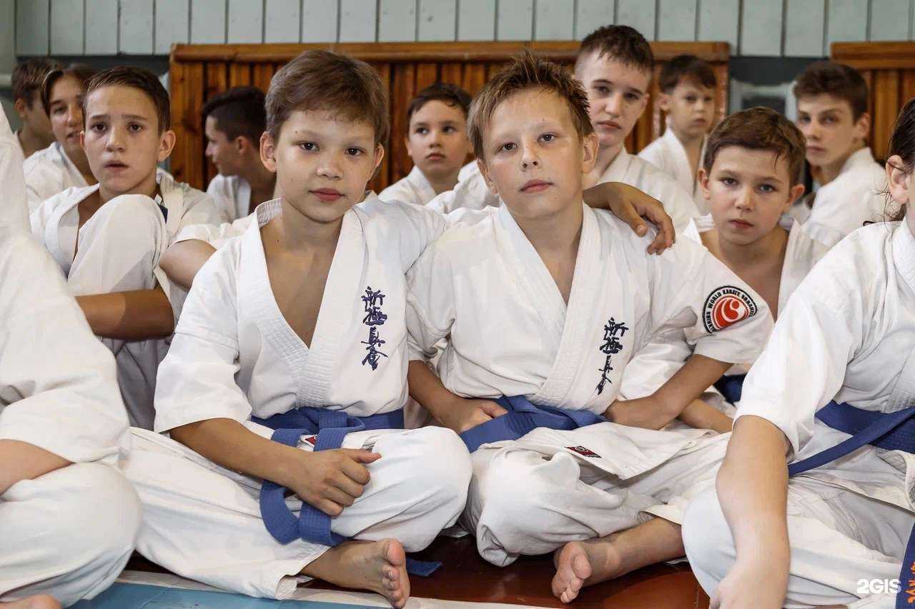 Отзывы на компанию Нижегородская федерация синкёкусинкай каратэ в Нижнем Новгороде c фото