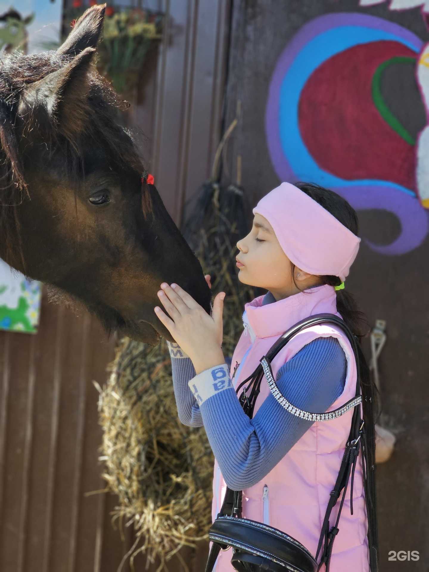 Отзывы на компанию Конный мир в Уссурийске c фото