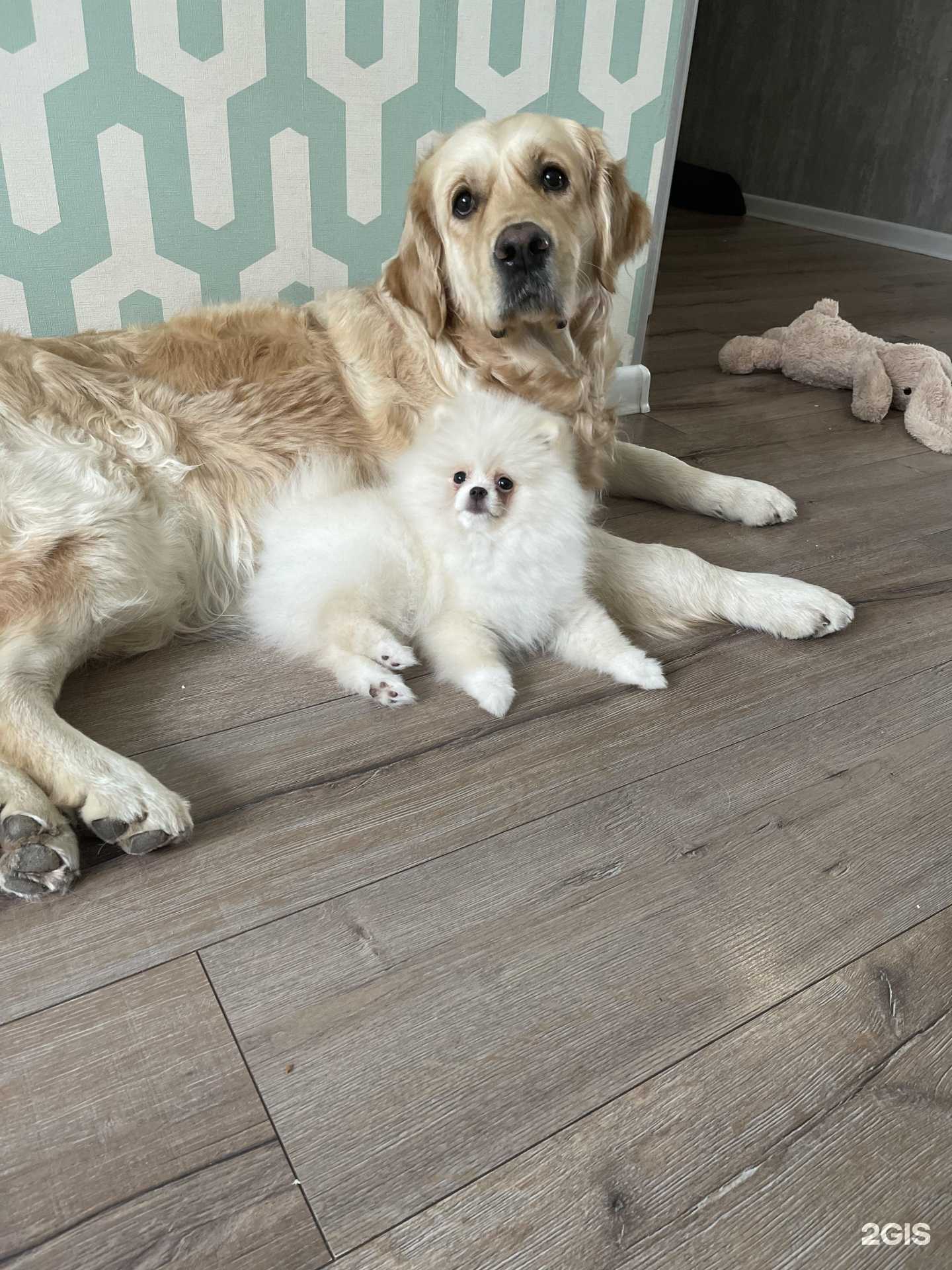 Отзывы на компанию Оливер в Серпухове c фото