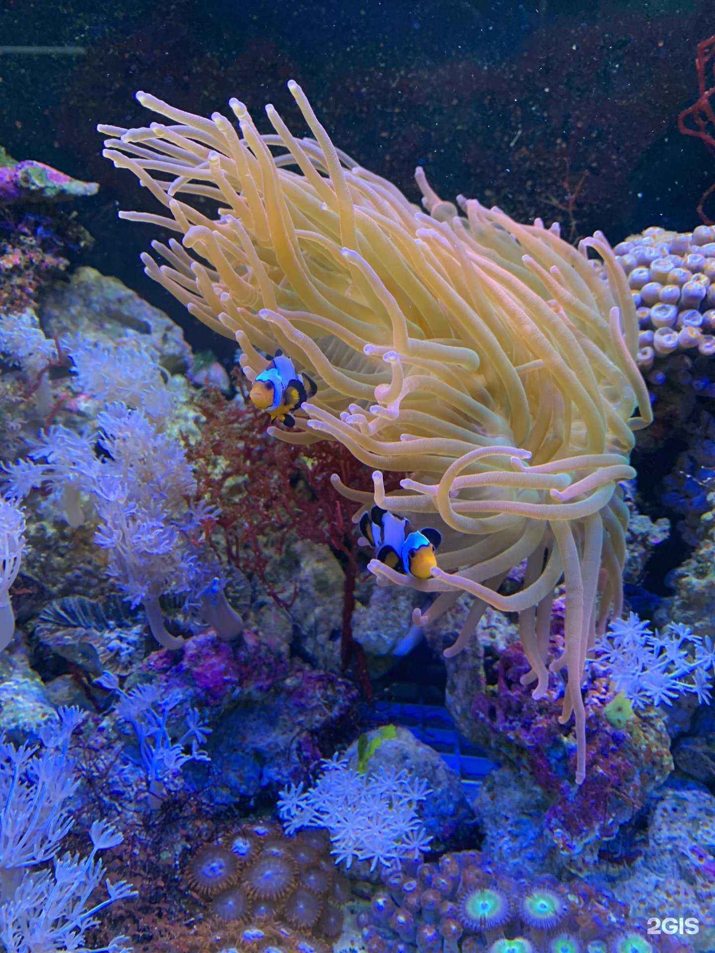 Отзывы на компанию Акваград в Нижнем Новгороде c фото