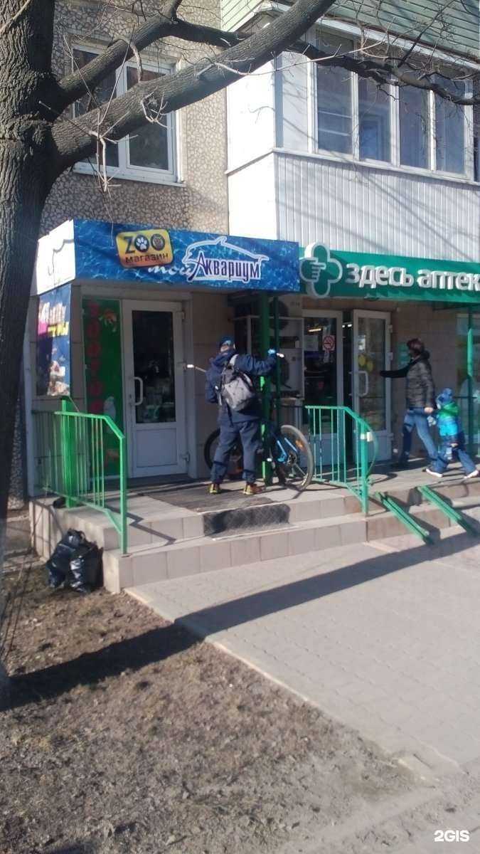 Отзывы на компанию Мой аквариум в г. Тула c фото