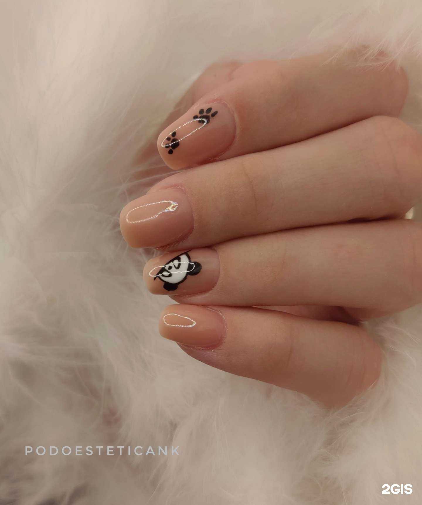 Отзывы на компанию Podoestetica в г. Нижнекамск c фото