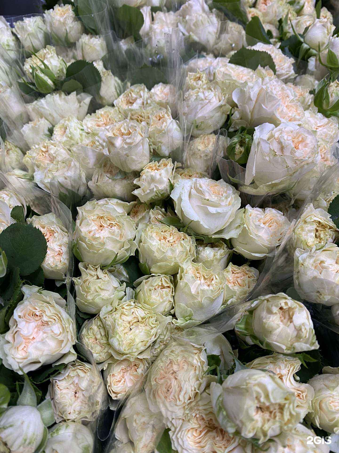 Отзывы на компанию Первая цветочная компания в Чебоксарах c фото