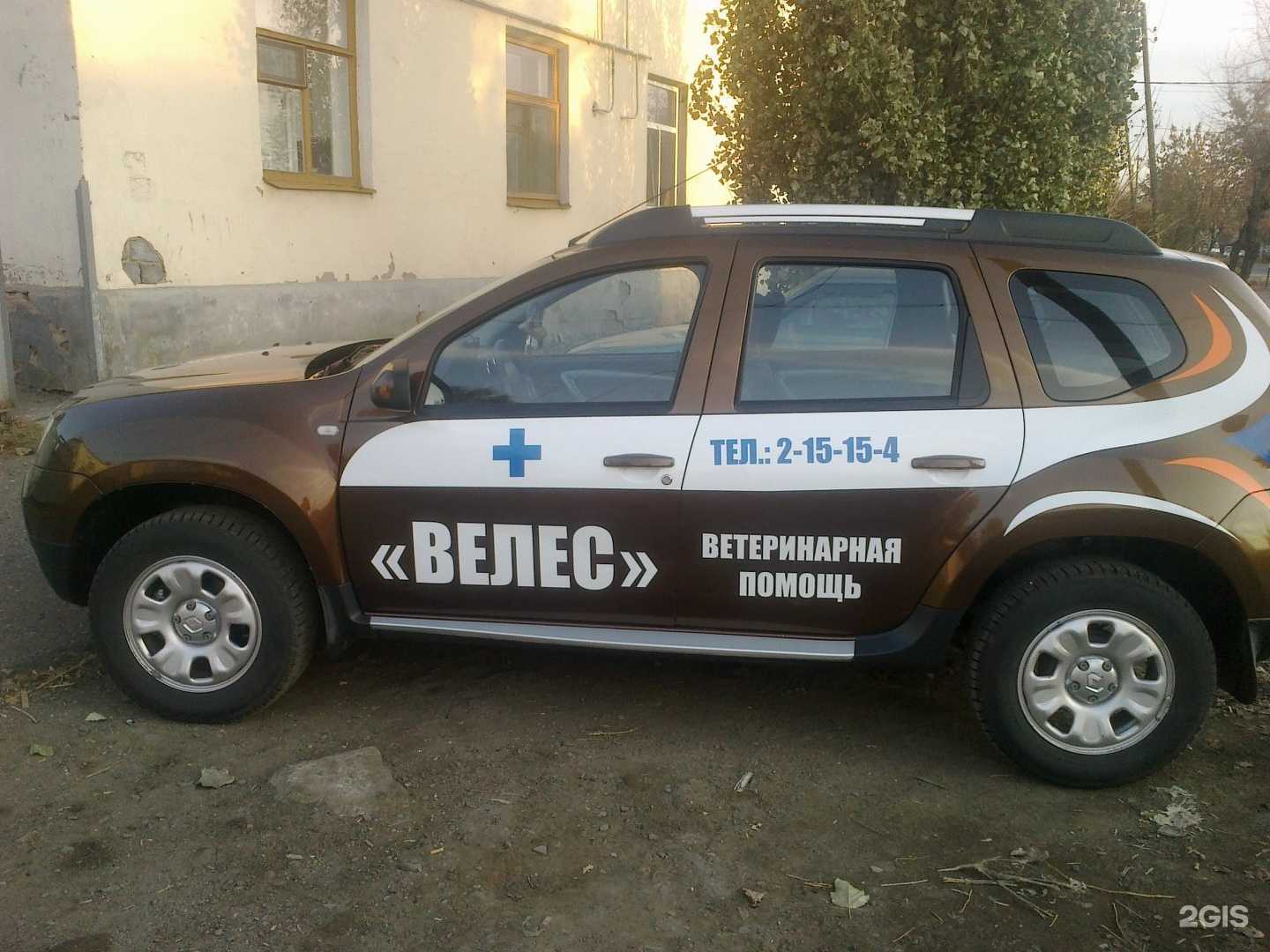 Отзывы на компанию Велес в Оренбурге c фото