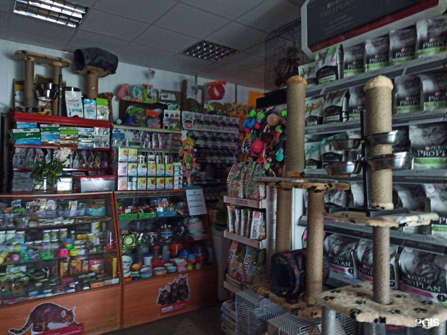 Отзывы на компанию Фауна в Балакове c фото