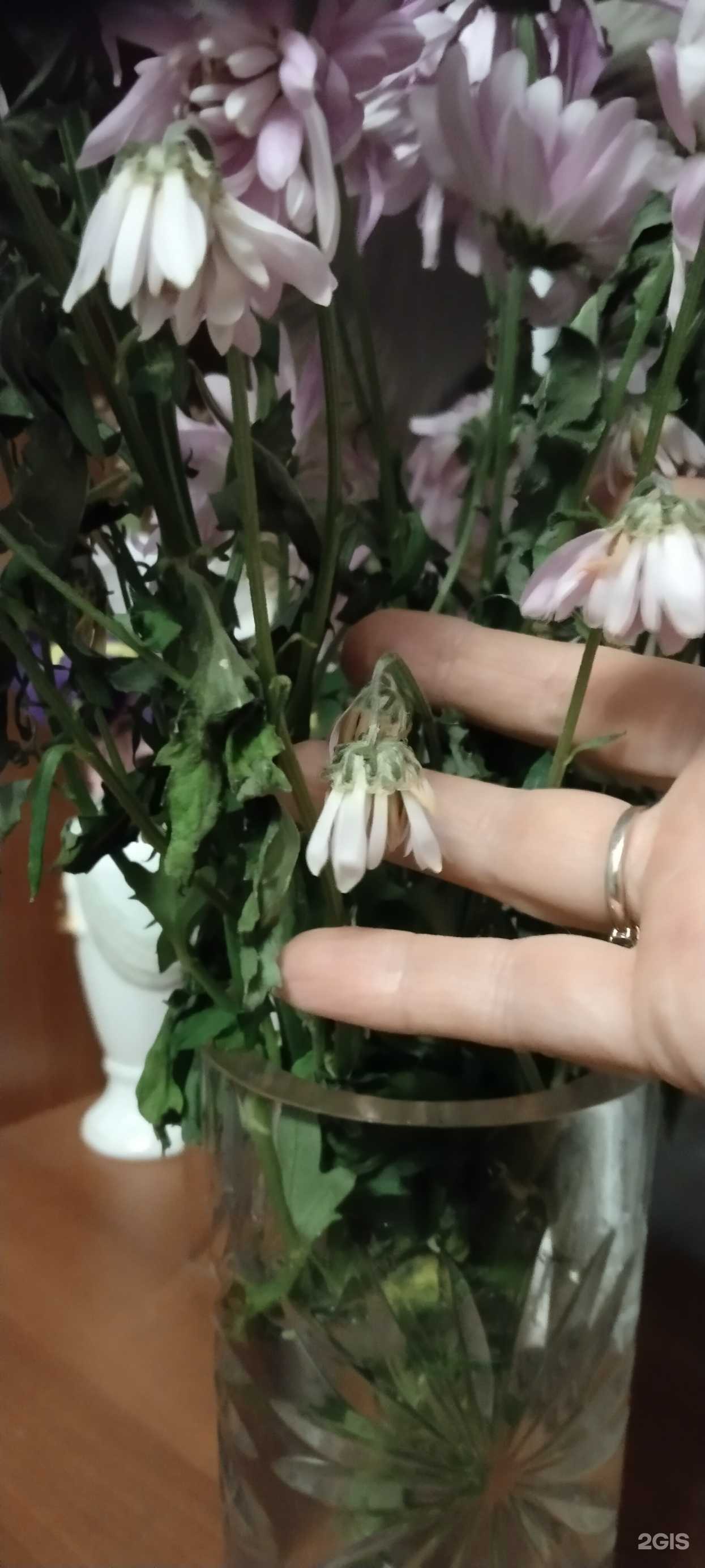 Отзывы на компанию Цветочный магазин в г. Ярославль c фото
