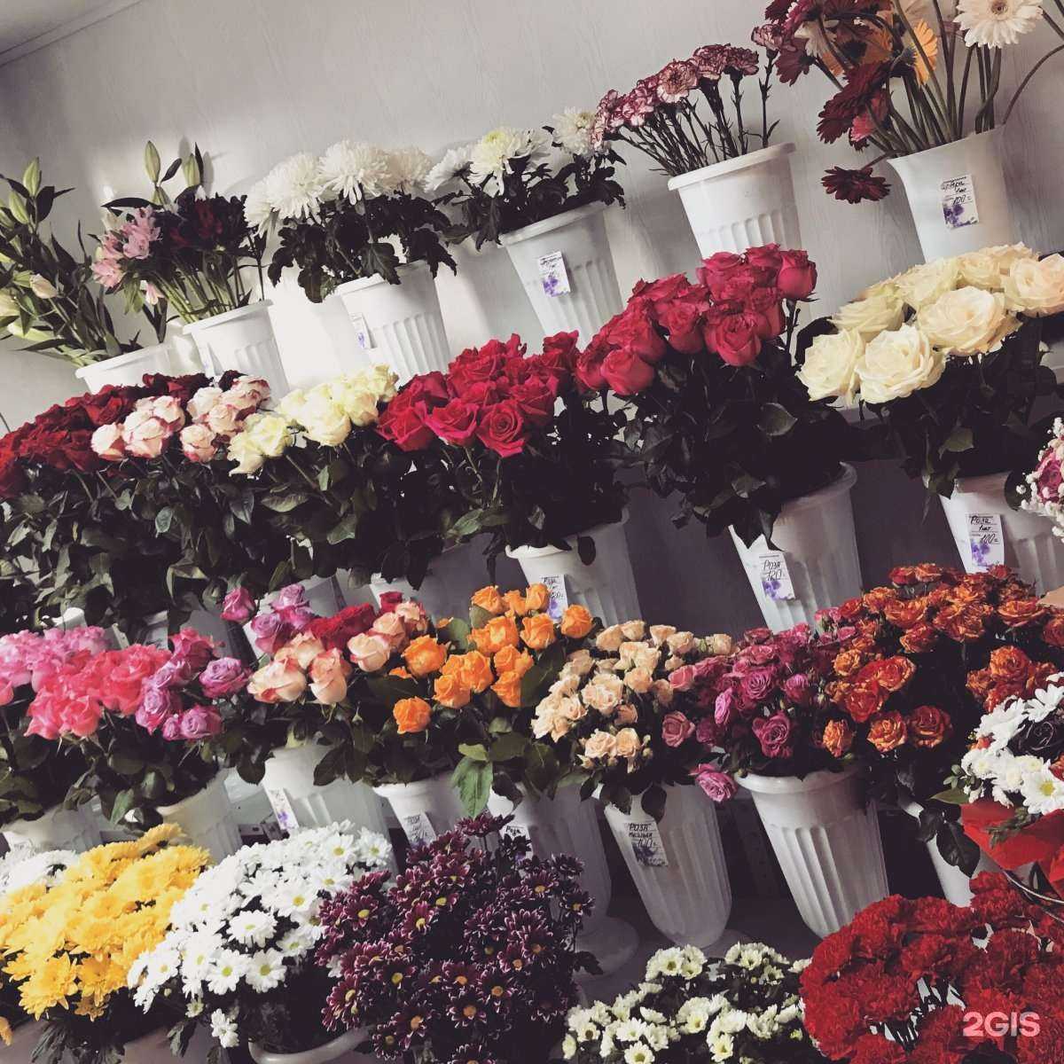 Отзывы на компанию Магазин цветов в Подольске c фото - фотография 2 из 2