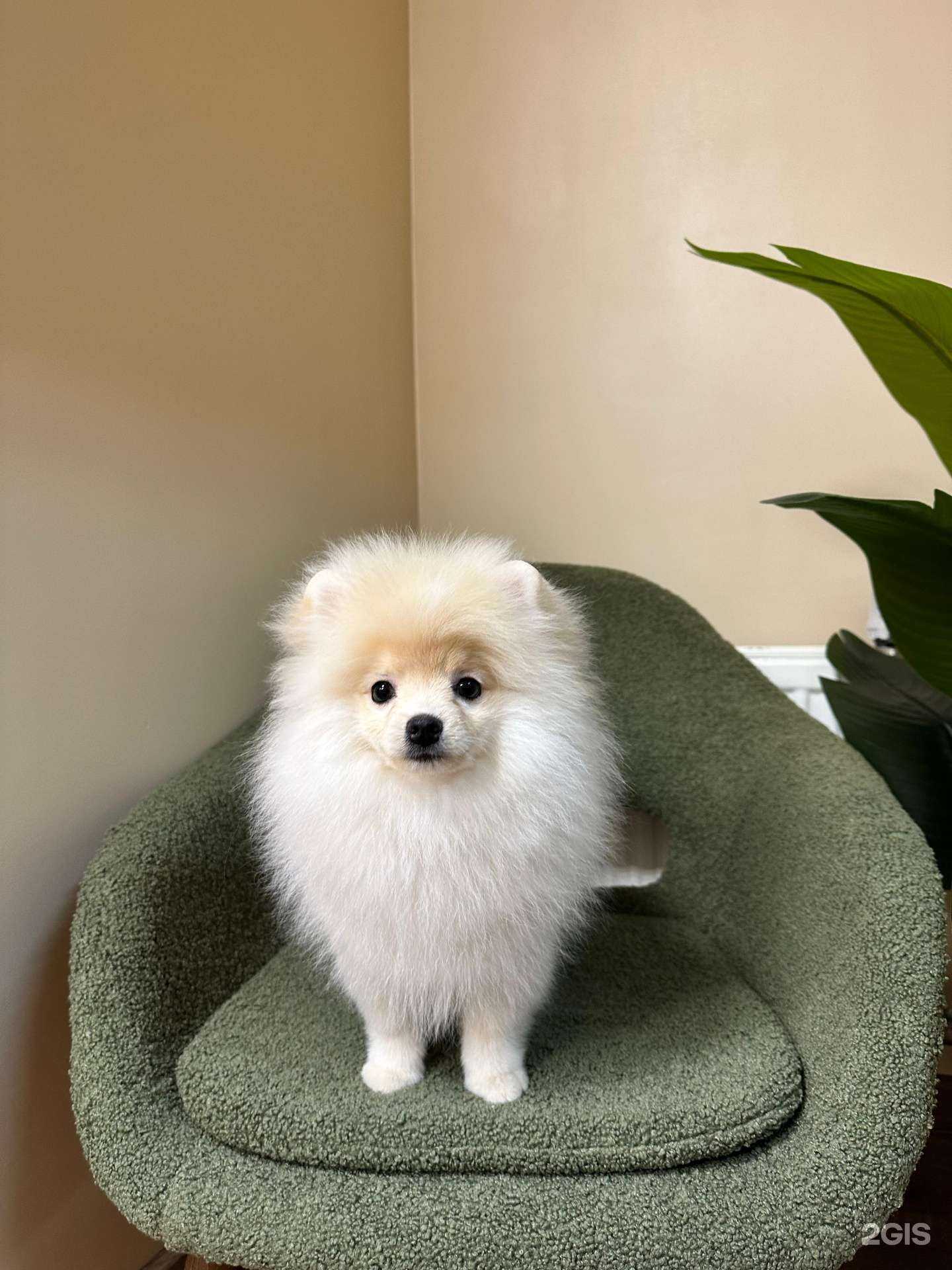 Отзывы на компанию Before/After в г. Химки c фото