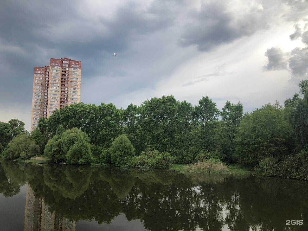 Отзывы на компанию Go-ride в Пушкине c фото - фотография 2 из 2