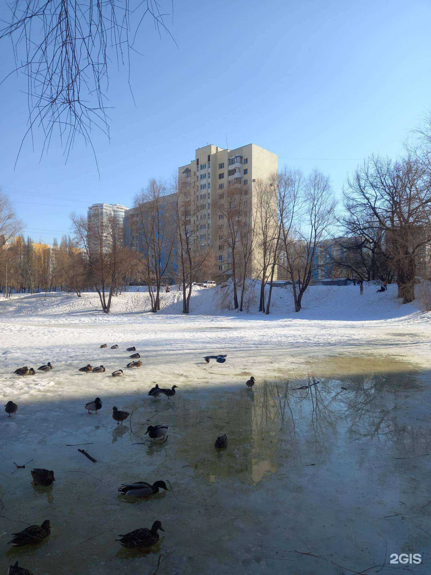 Отзывы на компанию Профи Дент в Самаре c фото - фотография 2 из 2