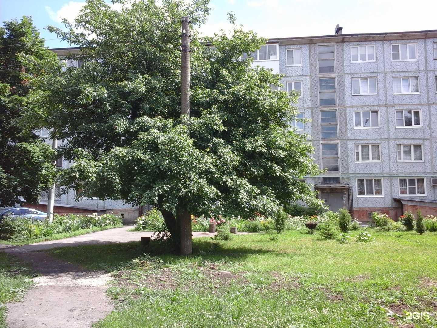 Отзывы на компанию Елена в Новомосковске c фото - фотография 2 из 2