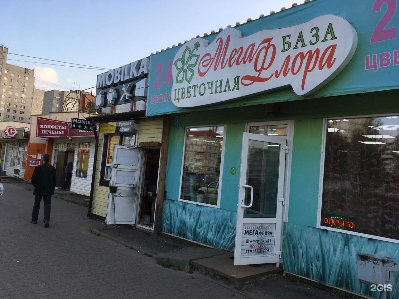 Отзывы на компанию Мегафлора в Ярославле c фото - фотография 2 из 2