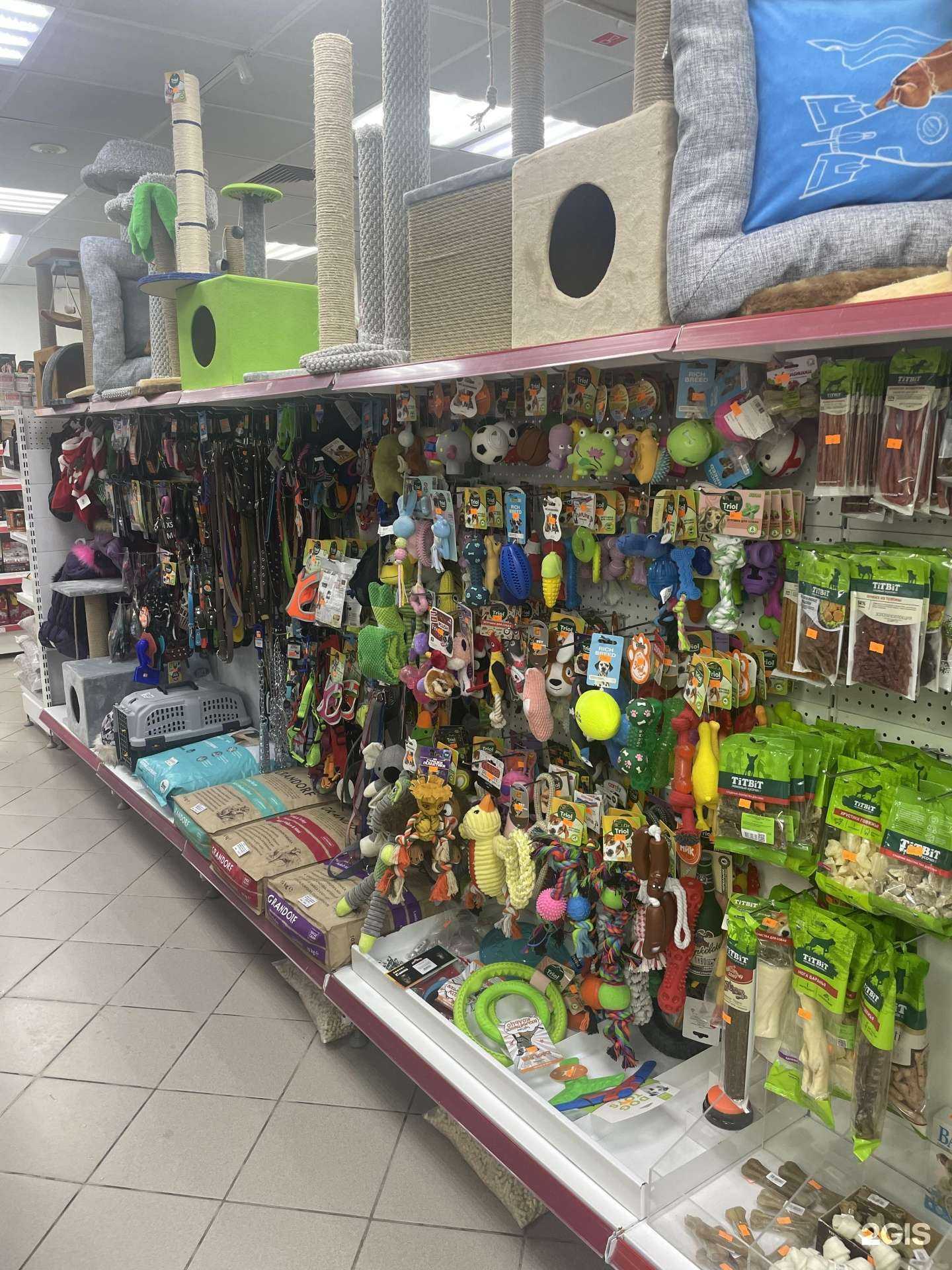 Отзывы на компанию Любимец в Сургуте c фото