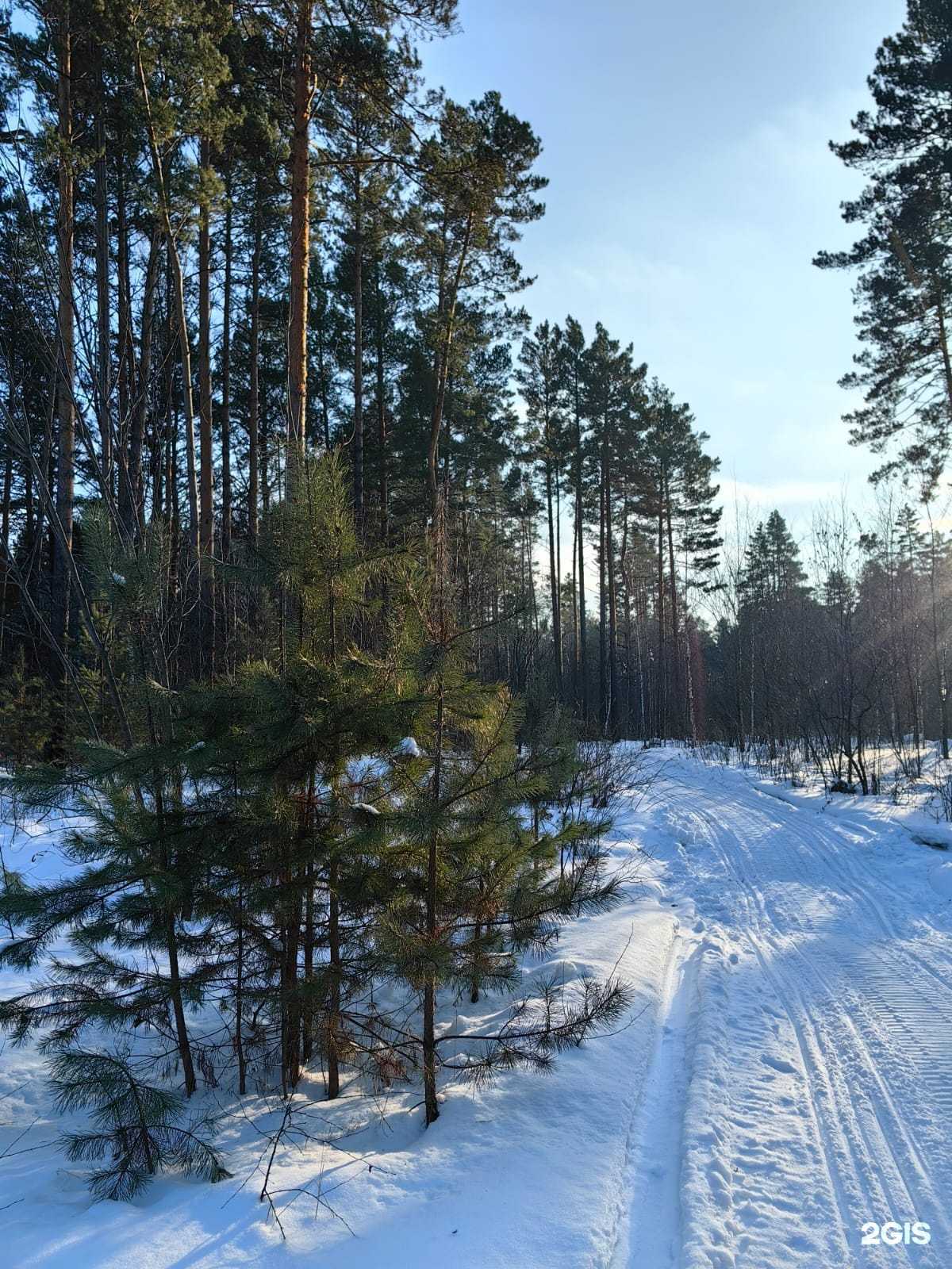 Отзывы на компанию Виктория  в Томске c фото