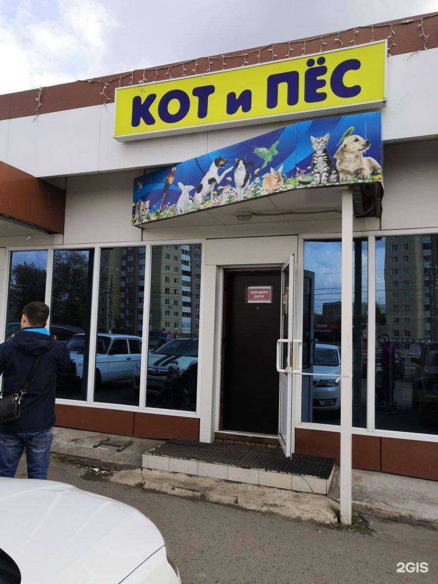 Отзывы на компанию Кот и Пес в г. Саранск c фото