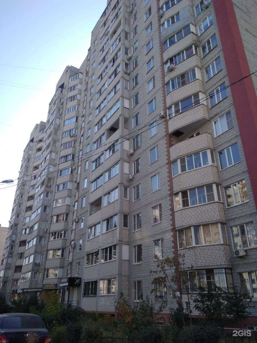 Отзывы на компанию Хвоя в Воронеже c фото - фотография 2 из 2