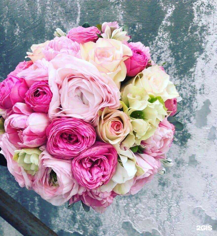 Отзывы на компанию Gertel в г. Сыктывкар c фото