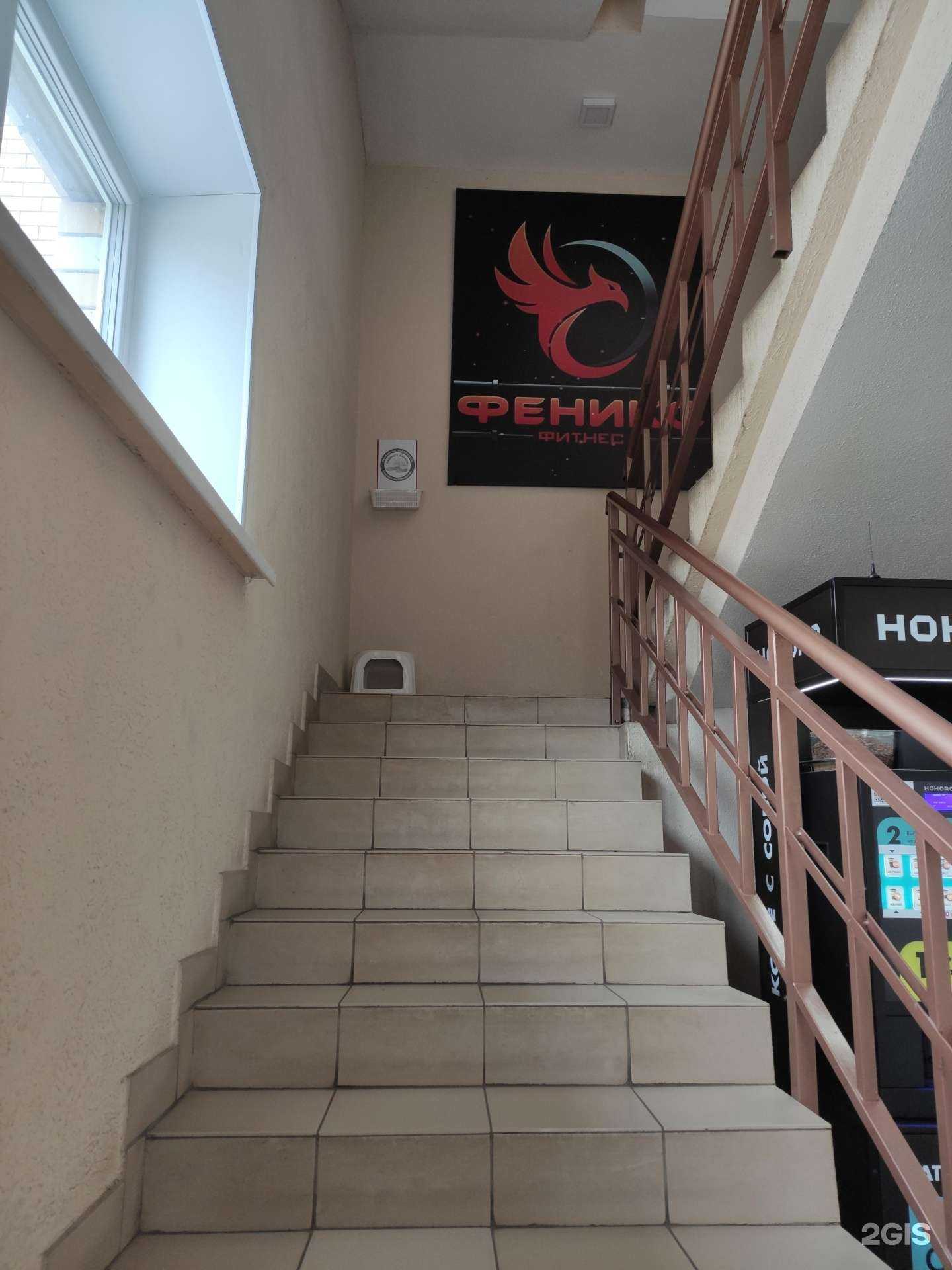 Отзывы на компанию Феникс в г. Ковров c фото