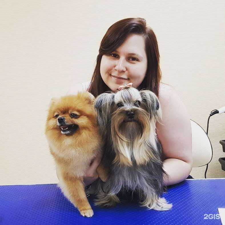 Отзывы на компанию Пес & ко в Екатеринбурге c фото