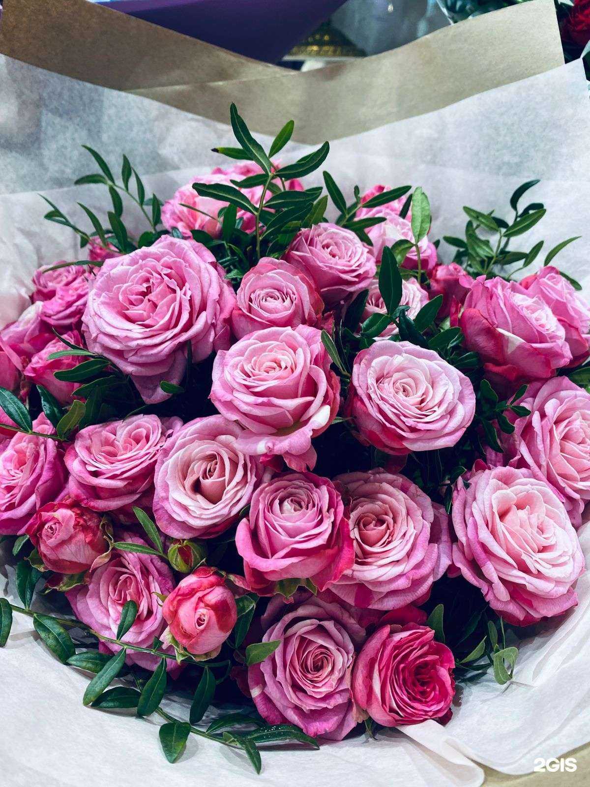 Отзывы на компанию Янаис в Сочи c фото