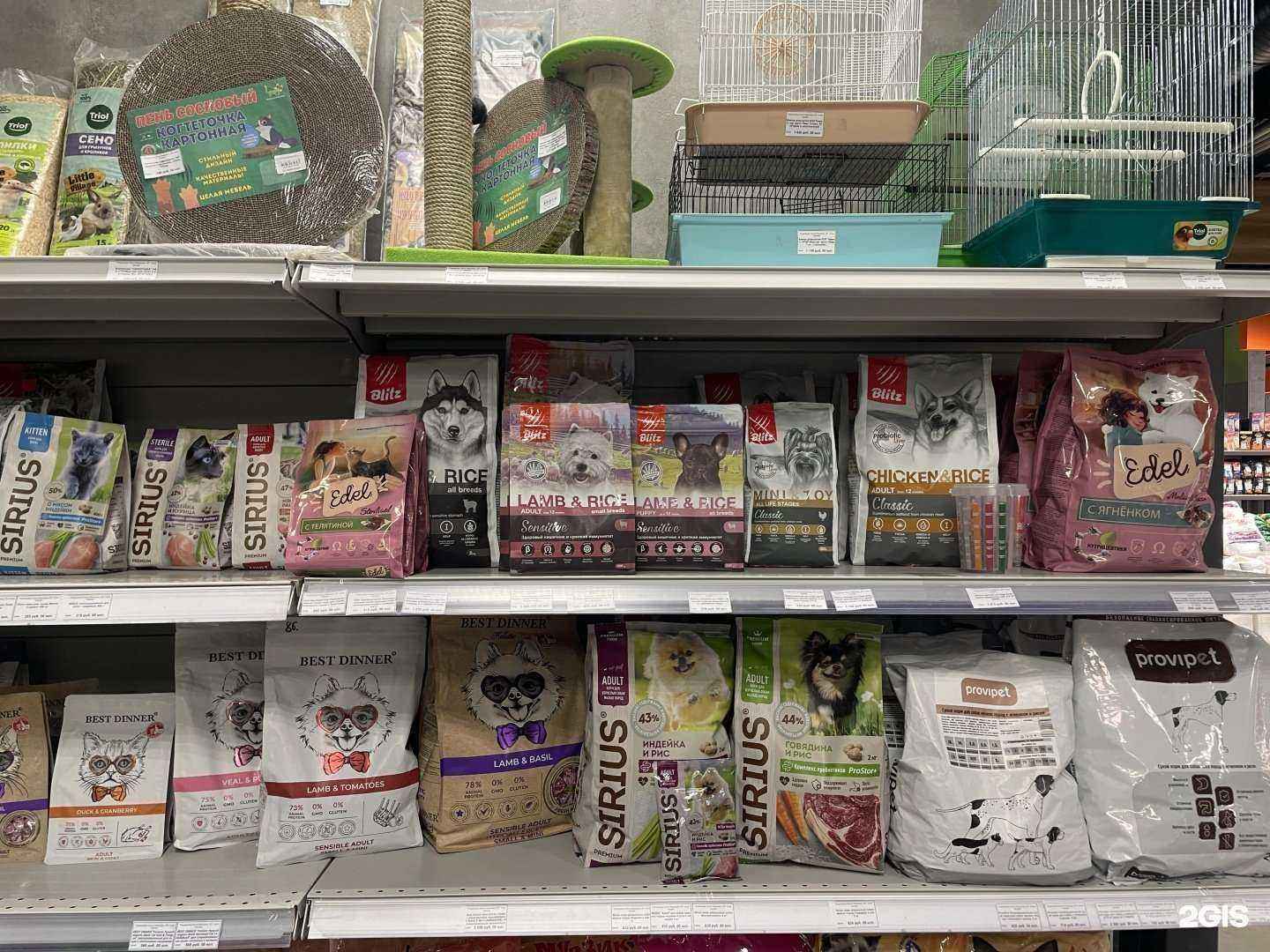 Отзывы на компанию Пушистик в г. Саратов c фото