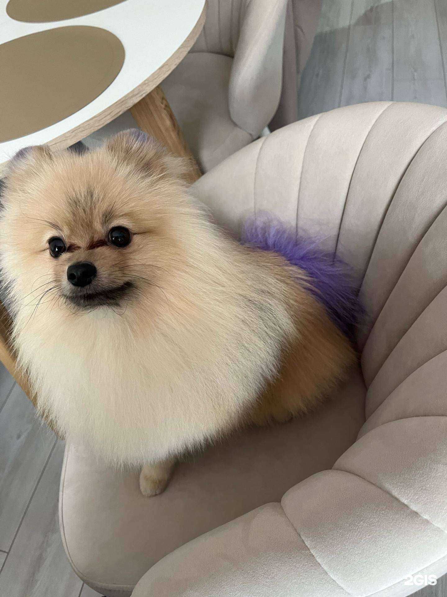 Отзывы на компанию Гламуурр в г. Осинники c фото