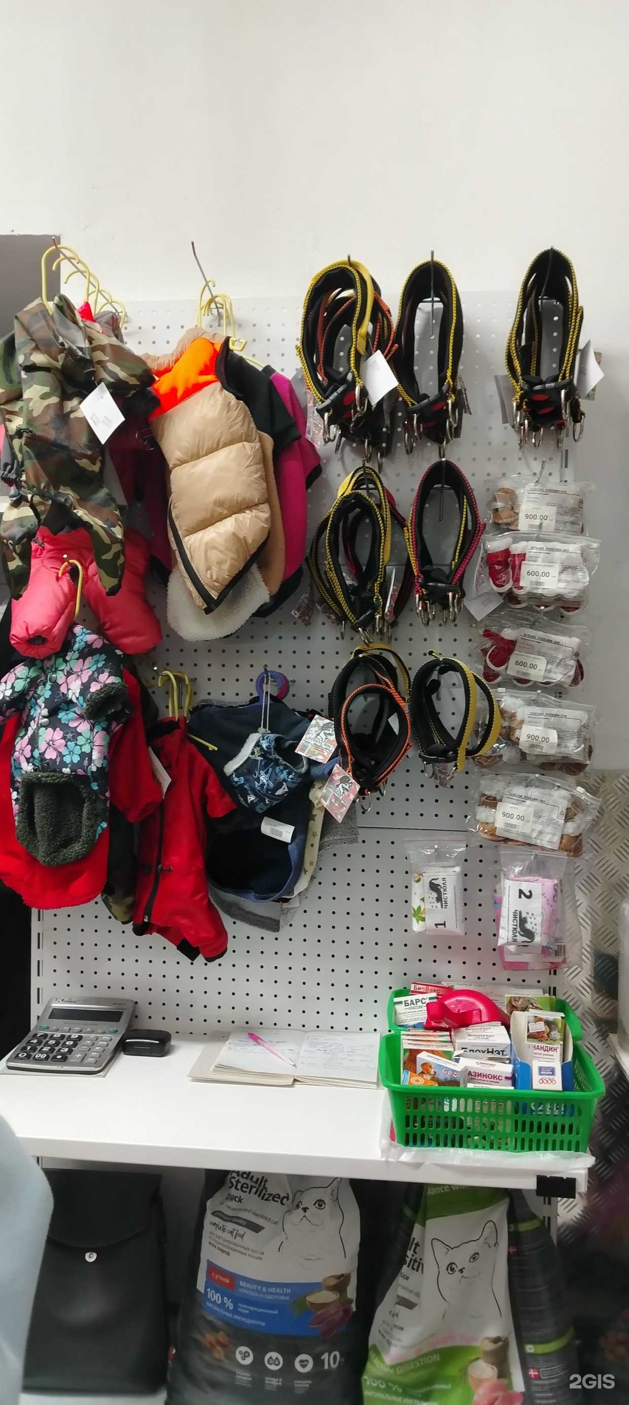 Отзывы на компанию Кошки&Мышки в Стерлитамаке c фото