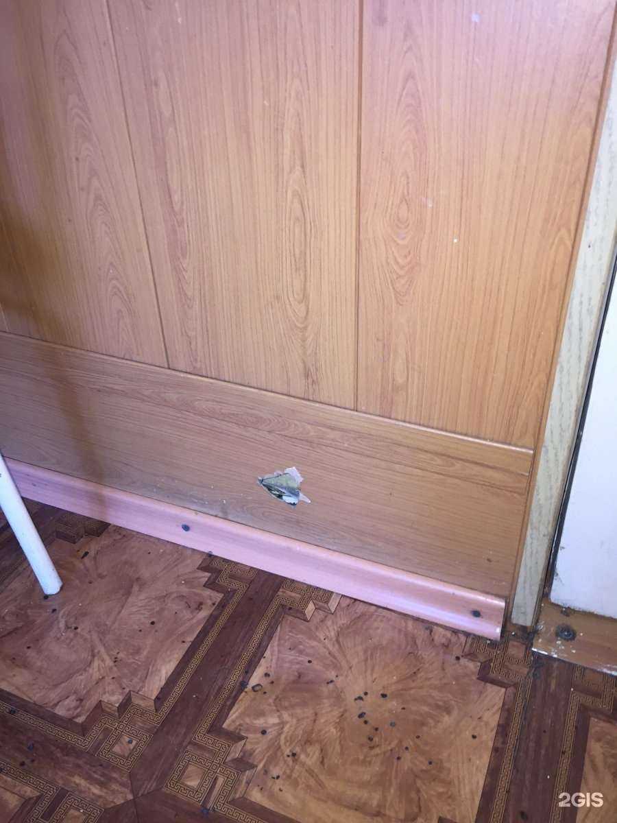 Отзывы на компанию Надежда в г. Омск c фото