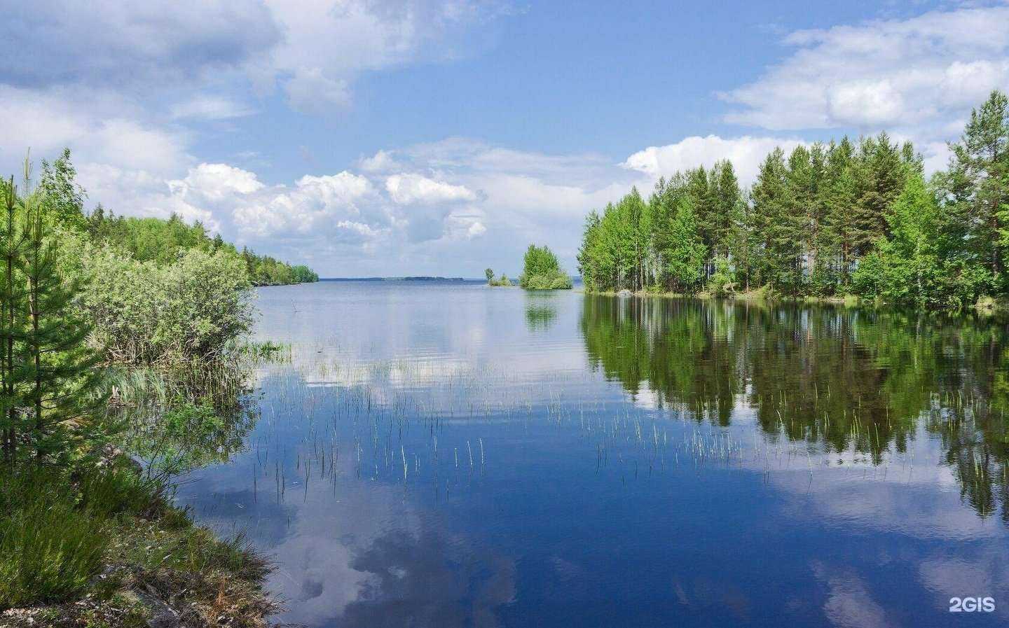 Отзывы на компанию Кинтизьма в Петрозаводске c фото