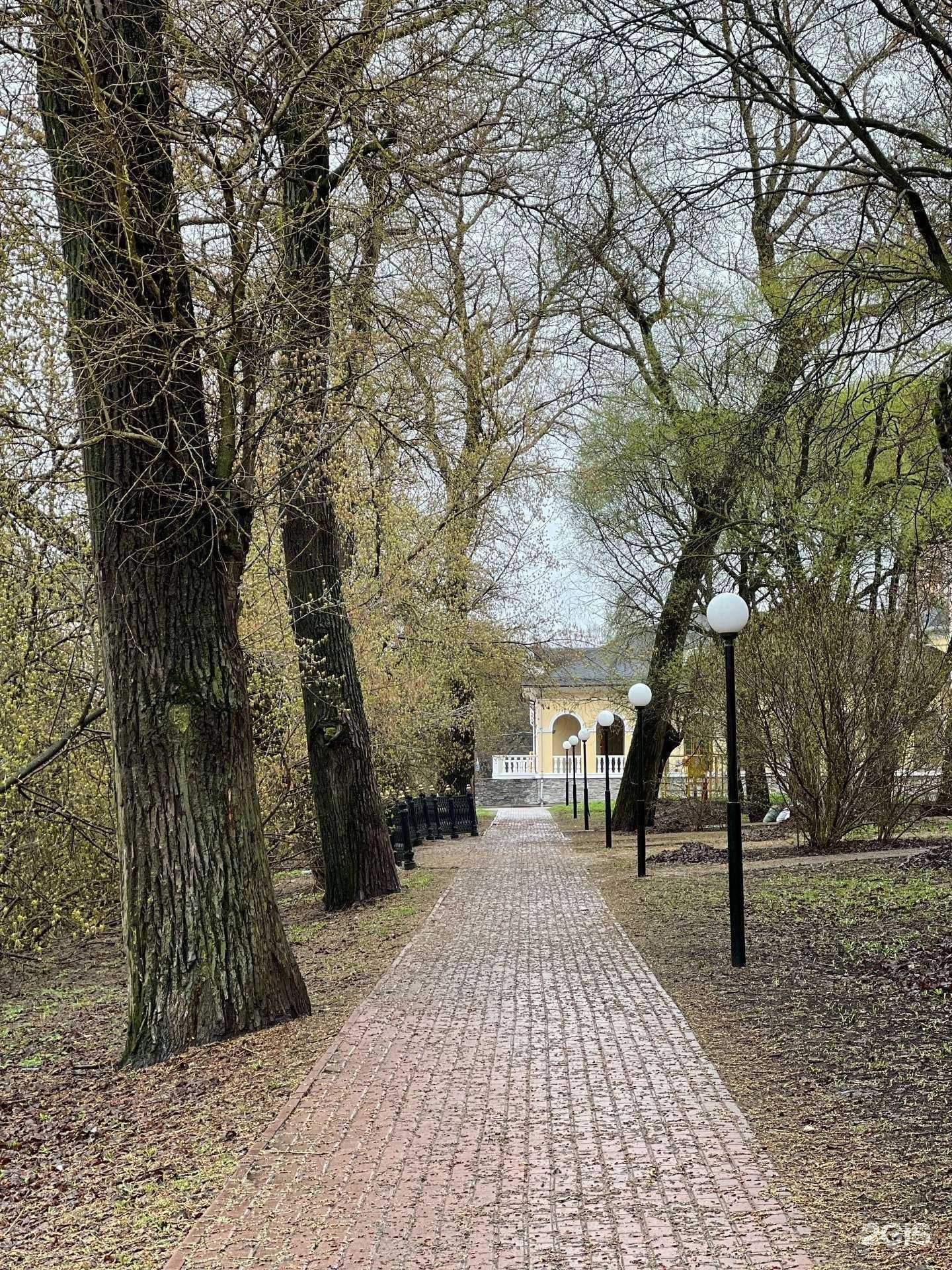 Отзывы на компанию Студия оформления бровей в Вологде c фото - фотография 2 из 2