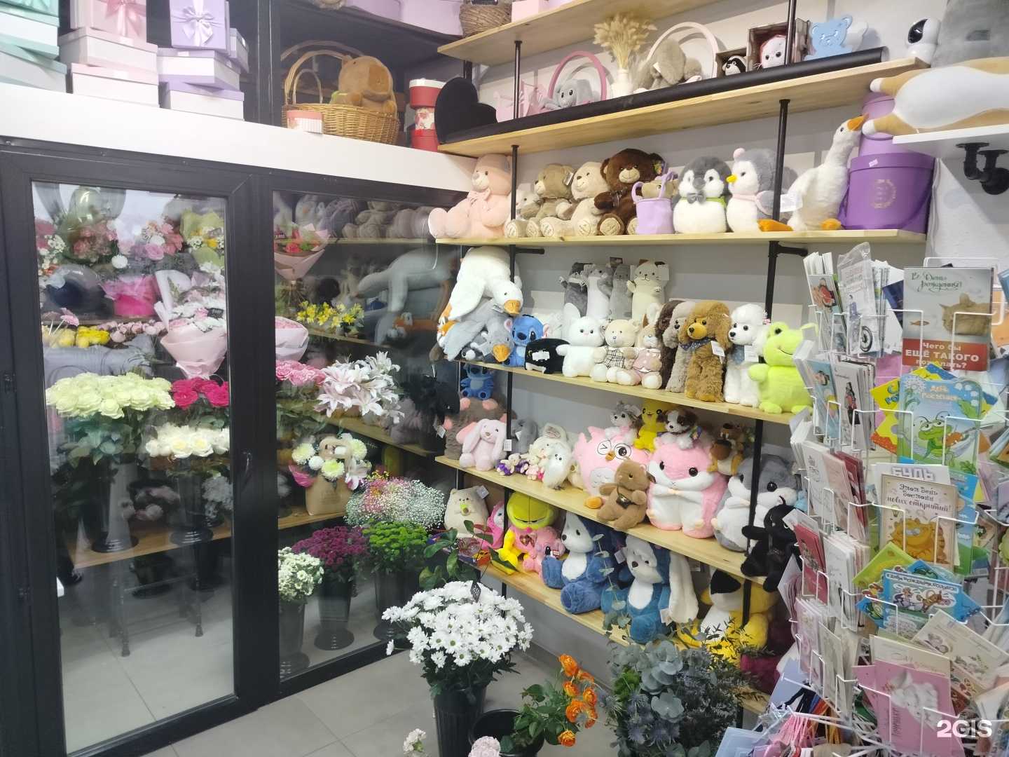 Отзывы на компанию К Ветка в г. Жуковский c фото