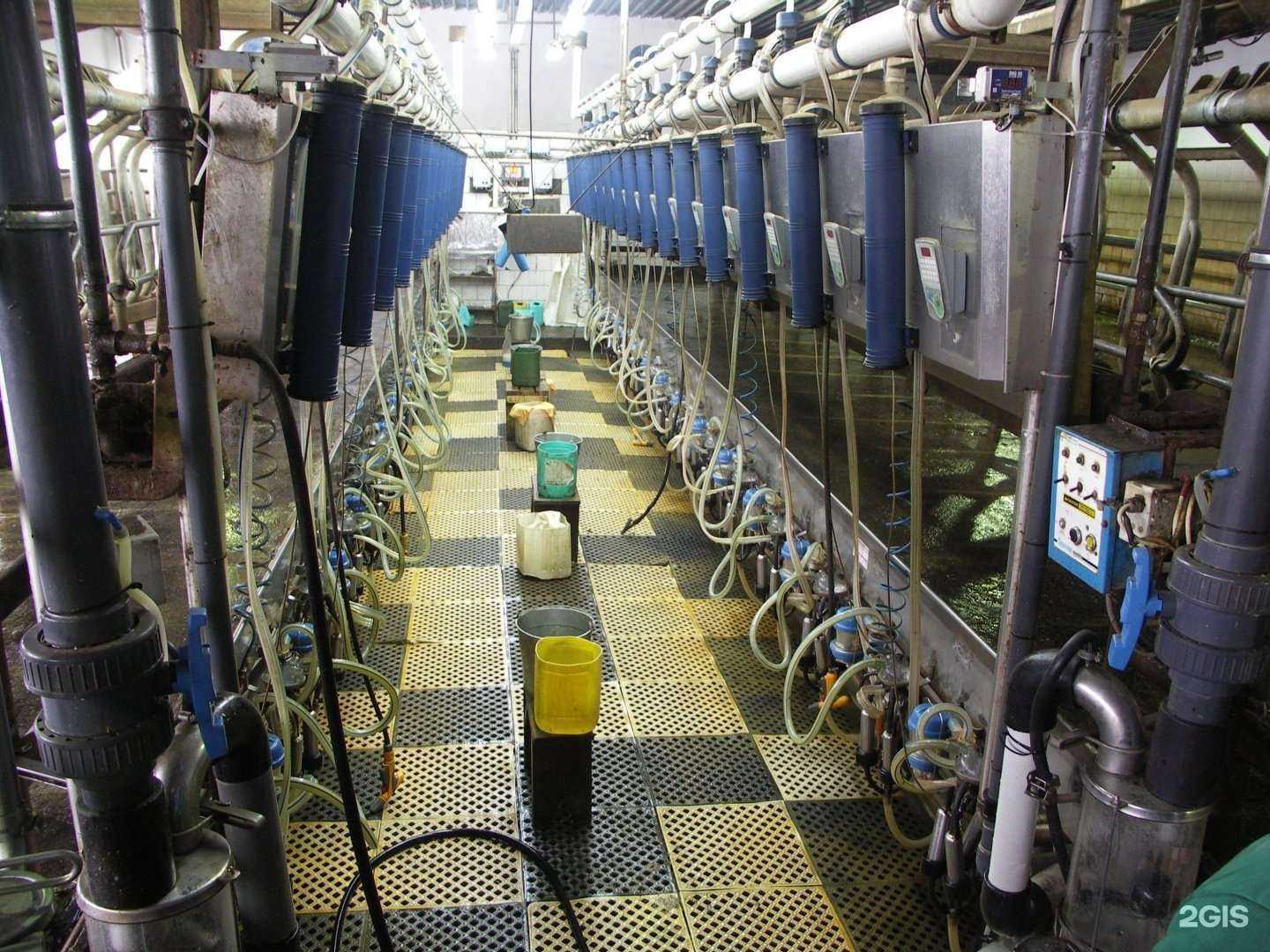 Отзывы на компанию Фримилк в г. Омск c фото