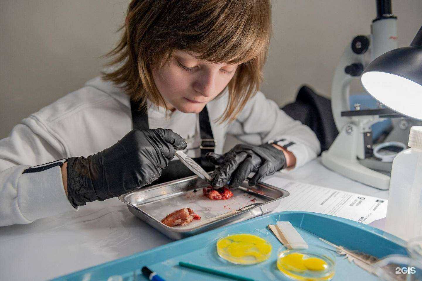 Отзывы на компанию Эмпирика в г. Краснодар c фото