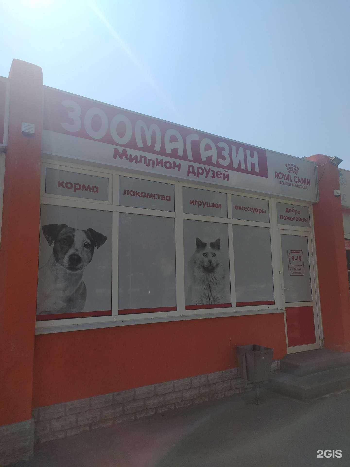 Отзывы на компанию Миллион друзей в г. Волгодонск c фото