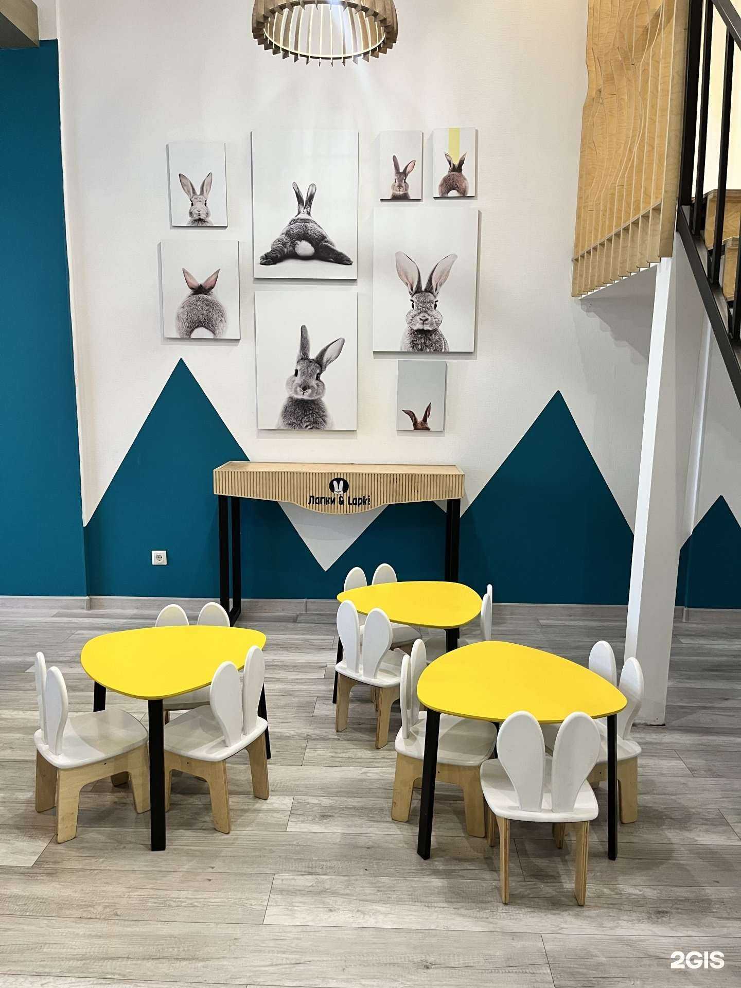 Отзывы на компанию Лапки&lapki в г. Екатеринбург c фото