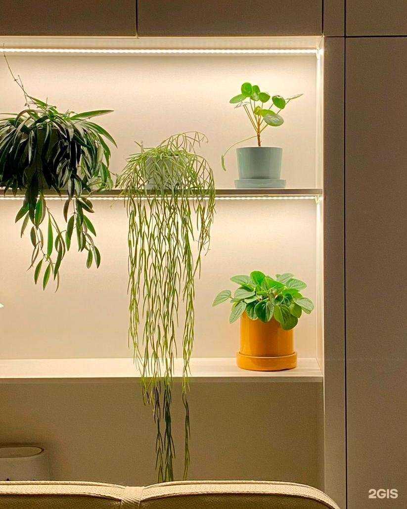 Отзывы на компанию Sambul & Dasha desing в Электростали c фото