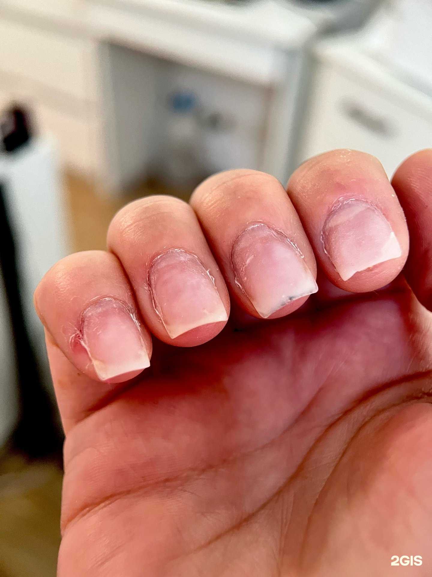 Отзывы на компанию Bliss в г. Воронеж c фото