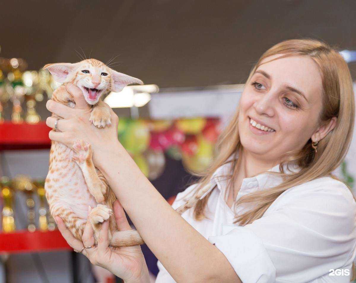 Отзывы на компанию Мистер Дворик в г. Омск c фото