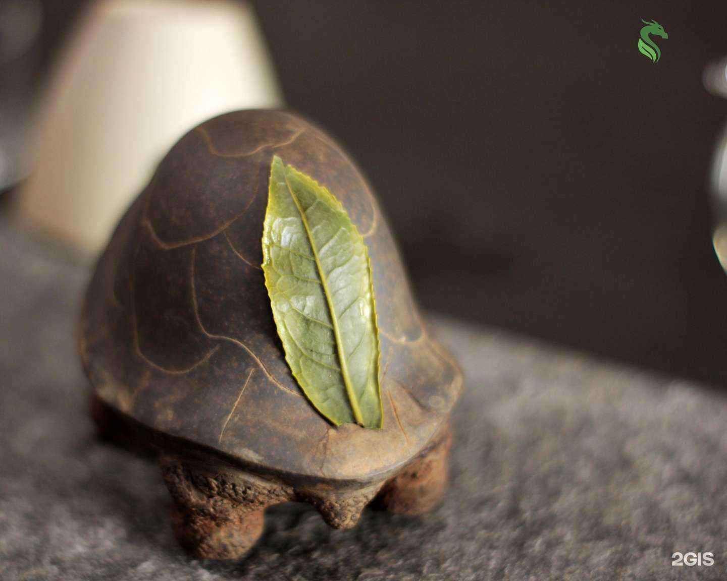 Отзывы на компанию Дракон в Коммунарке c фото