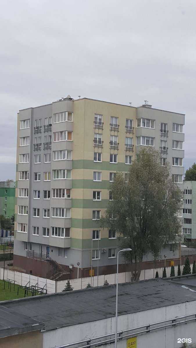 Отзывы на компанию Клуб боевых искусств в Калининграде c фото - фотография 2 из 2