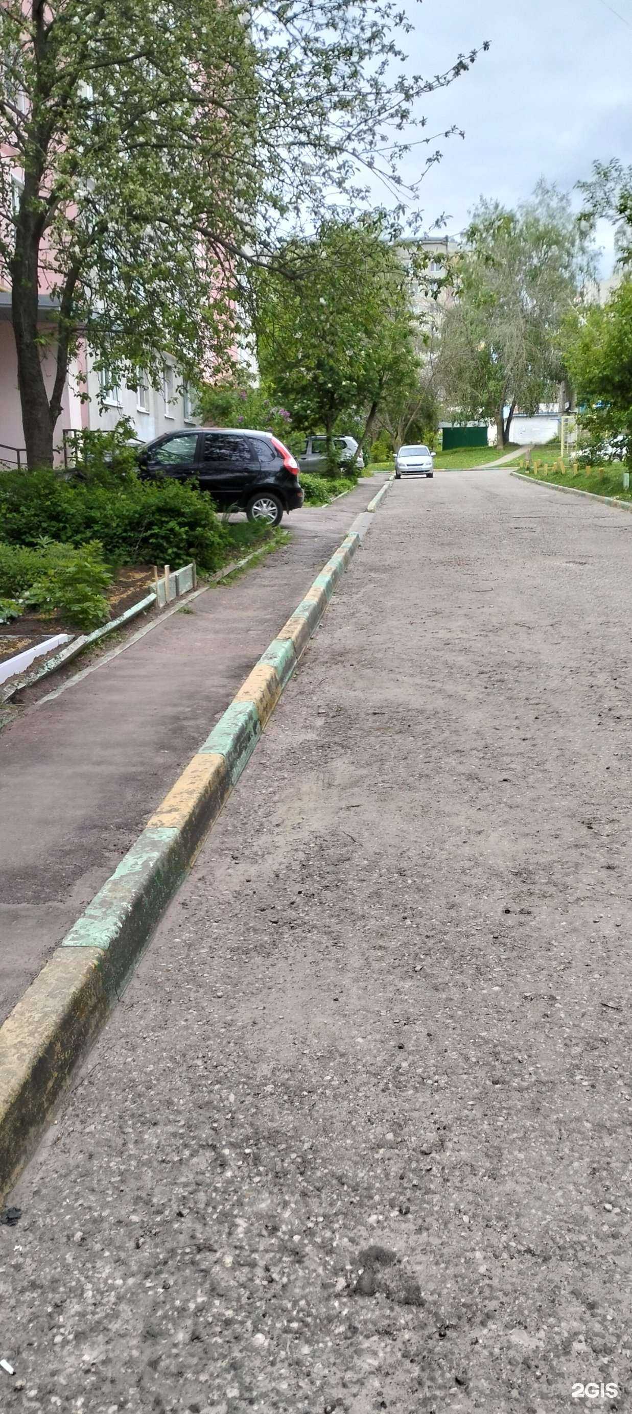 Отзывы на компанию Дирекция городского хозяйства в Тамбове c фото - фотография 2 из 2