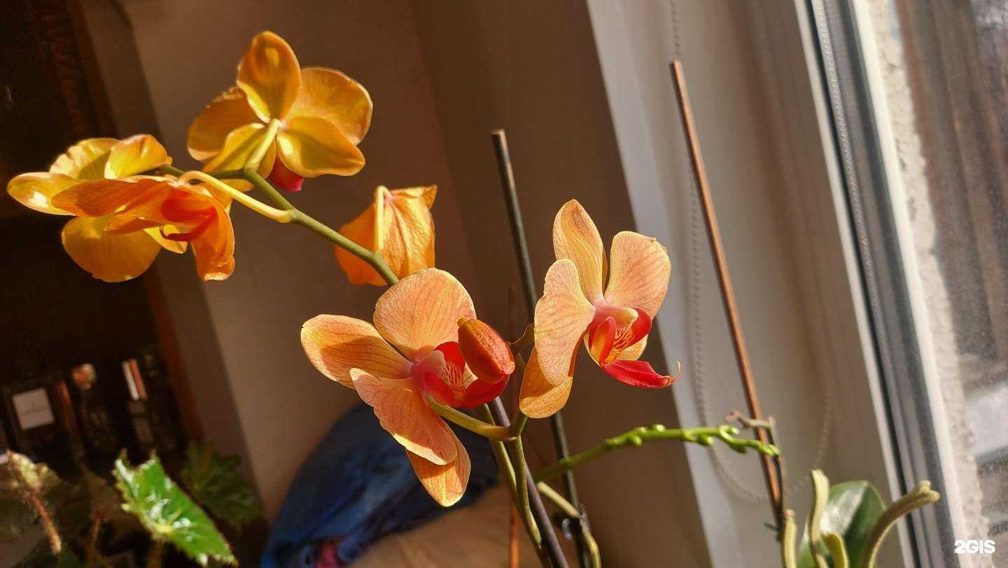 Отзывы на компанию Зелёный сервис в Владимире c фото