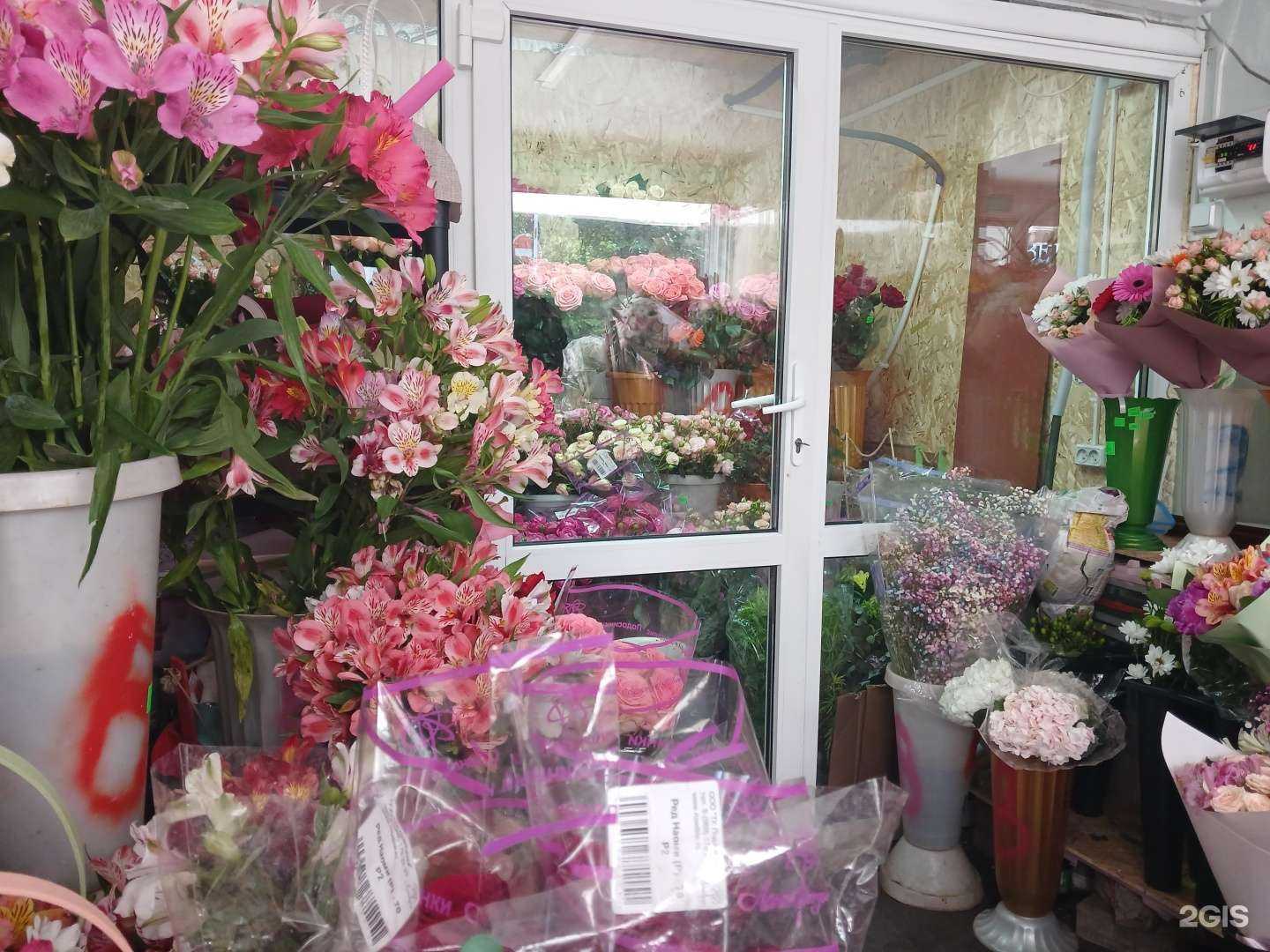 Отзывы на компанию Магазин цветов в г. Астрахань c фото